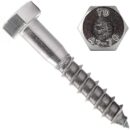 Hexagon screw DIN 571 - M8x70mm / A2